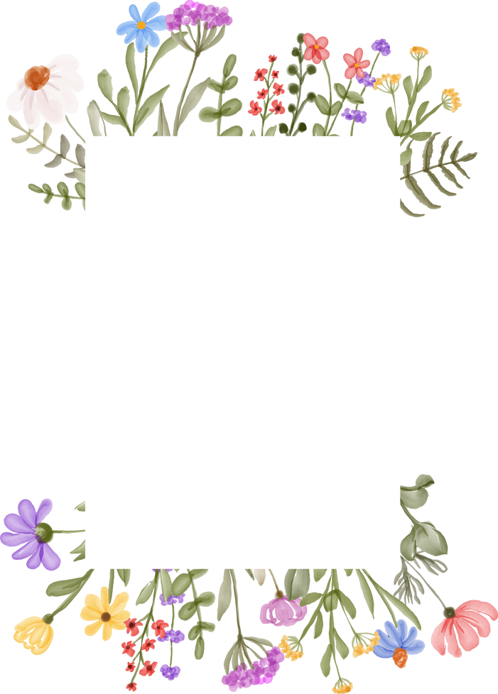 floral frame of flower and leaves wild flowers